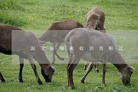 淘宝逾期未收到货赔款 淘宝逾期未收到货赔款