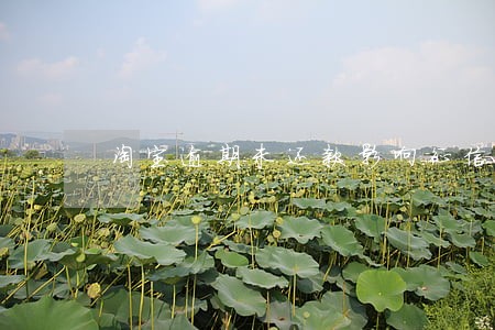 淘宝逾期未还款影响征信 淘宝逾期未还款影响征信