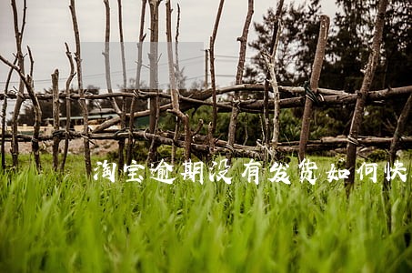 淘宝逾期没有发货如何快速退款 淘宝逾期没有发货如何快速退款