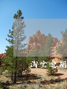 淘宝逾期没有发货怎么处理 淘宝逾期没有发货怎么处理