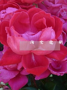 淘宝逾期自动退款怎么解决 淘宝逾期自动退款怎么解决