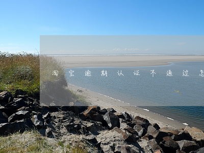 淘宝逾期认证不通过怎么回事 淘宝逾期认证不通过怎么回事