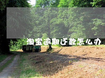 淘宝逾期还款怎么办 淘宝逾期还款怎么办