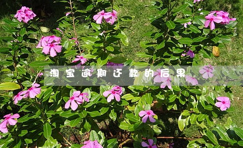 淘宝逾期还款的后果 淘宝逾期还款的后果