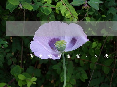 淘宝逾期金额92块 淘宝逾期金额92块