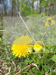 淘宝里发货慢逾期的怎么处理 淘宝里发货慢逾期的怎么处理