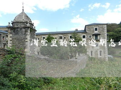 淘宝里的花呗逾期怎么还款 淘宝里的花呗逾期怎么还款