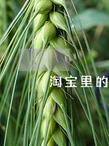 淘宝里的逾期协商怎么样 淘宝里的逾期协商怎么样
