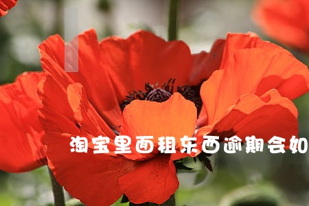 淘宝里面租东西逾期会如何 淘宝里面租东西逾期会如何