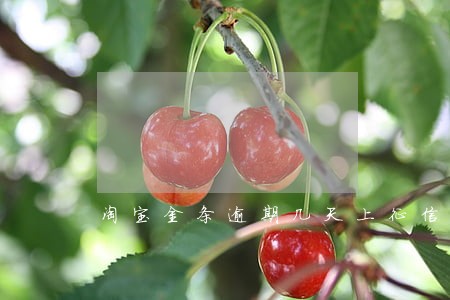 淘宝金条逾期几天上征信 淘宝金条逾期几天上征信