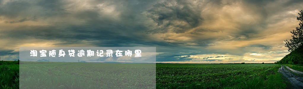 淘宝随身贷逾期记录在哪里 淘宝随身贷逾期记录在哪里