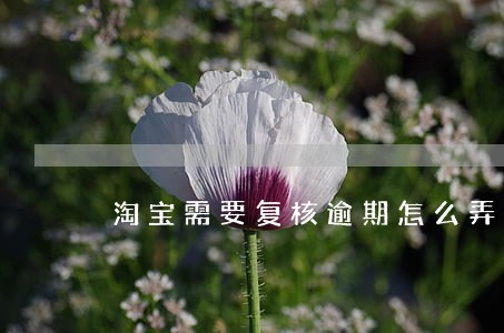 淘宝需要复核逾期怎么弄 淘宝需要复核逾期怎么弄