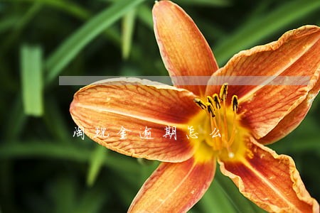 淘现金逾期怎么 淘现金逾期怎么