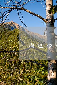 淘现金逾期怎么办 淘现金逾期怎么办