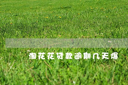 淘花花贷款逾期几天爆 淘花花贷款逾期几天爆