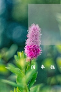 淘车抵押逾期 淘车抵押逾期