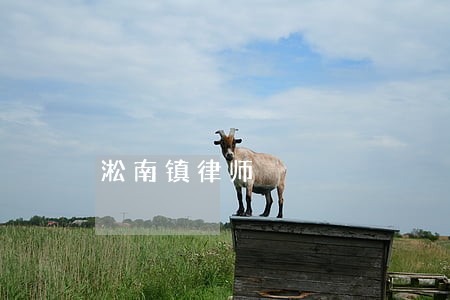 淞南镇律师