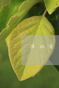 淮北专业离婚律师团队 淮北专业离婚律师团队