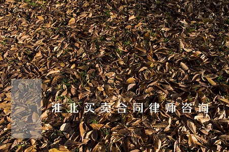 淮北买卖合同律师咨询 淮北买卖合同律师咨询