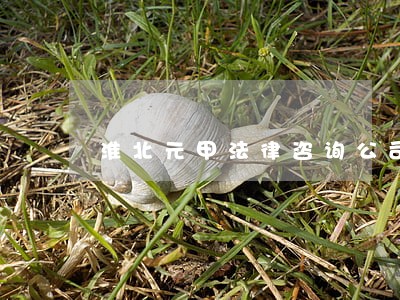 淮北元甲法律咨询公司 淮北元甲法律咨询公司
