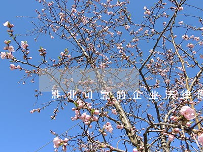 淮北可靠的企业法律顾问咨询热线 淮北可靠的企业法律顾问咨询热线