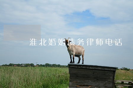 淮北婚姻债务律师电话 淮北婚姻债务律师电话