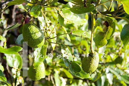 淮北婚姻家庭律师收费 淮北婚姻家庭律师收费