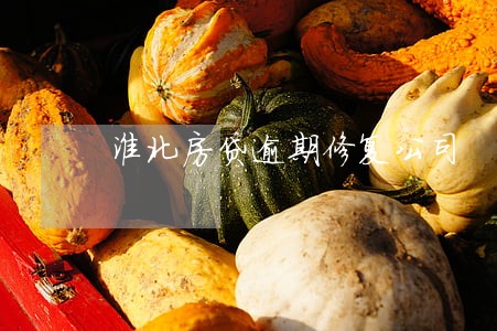 淮北房贷逾期修复公司 淮北房贷逾期修复公司