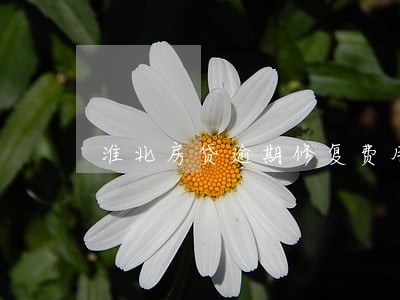 淮北房贷逾期修复费用 淮北房贷逾期修复费用