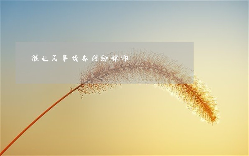 淮北民事债务纠纷律师 淮北民事债务纠纷律师