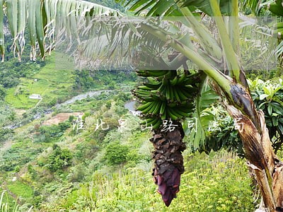 淮北泉山路司法局 淮北泉山路司法局