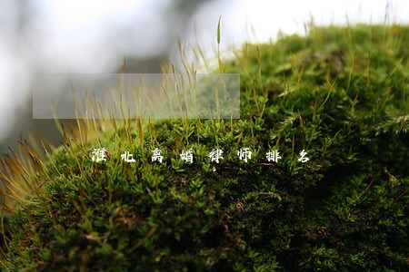 淮北离婚律师排名 淮北离婚律师排名