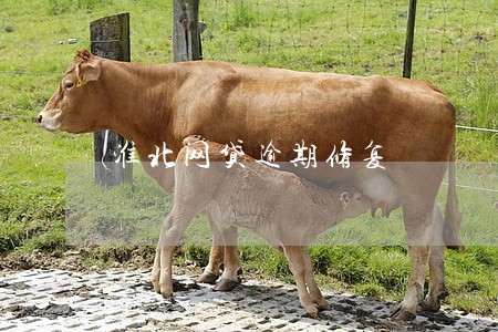 淮北网贷逾期修复 淮北网贷逾期修复