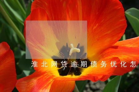 淮北网贷逾期债务优化怎么收费 淮北网贷逾期债务优化怎么收费