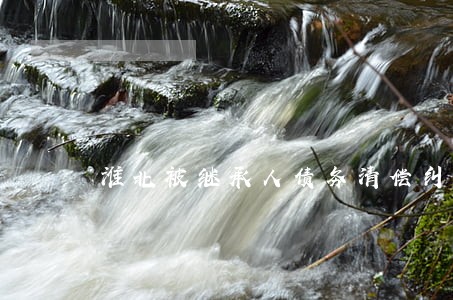 淮北被继承人债务清偿纠纷律师