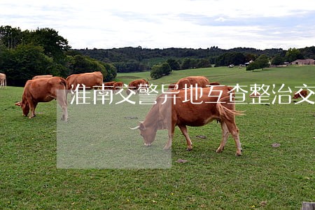 淮南交警异地互查整治交通违法