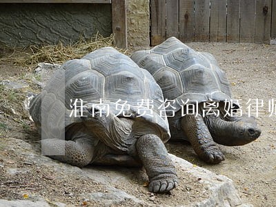 淮南免费咨询离婚律师 淮南免费咨询离婚律师
