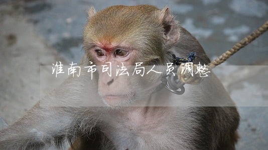 淮南市司法局人员调整