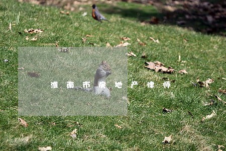 淮南市房地产律师