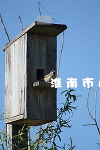 淮南市房地产律师电话 淮南市房地产律师电话