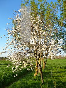 淮南市拆迁律师咨询 淮南市拆迁律师咨询