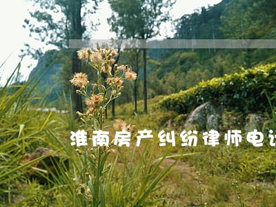 淮南房产纠纷律师电话 淮南房产纠纷律师电话