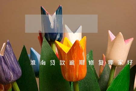 淮南贷款逾期修复哪家好 淮南贷款逾期修复哪家好