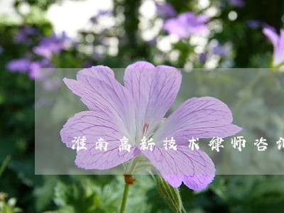 淮南高新技术律师咨询电话 淮南高新技术律师咨询电话