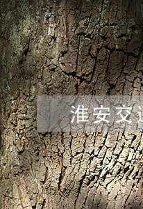 淮安交通违法申诉电话 淮安交通违法申诉电话