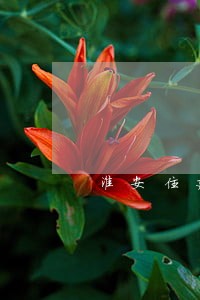 淮安住建局拒绝协助法院执行 淮安住建局拒绝协助法院执行