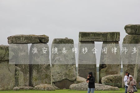 淮安债务转移合同律师多少钱 淮安债务转移合同律师多少钱