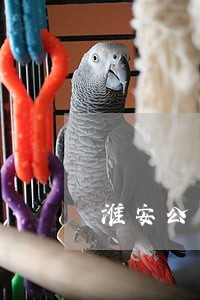 淮安公司法律咨询哪家好