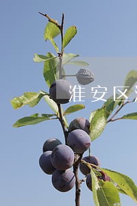 淮安区法律援助中心 淮安区法律援助中心