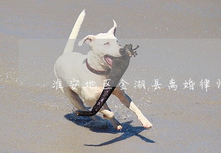 淮安地区金湖县离婚律师 淮安地区金湖县离婚律师